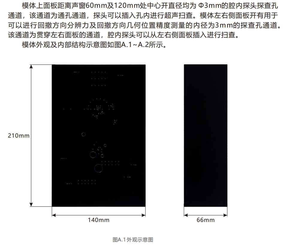 腔內掃查超聲模體