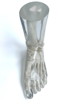 1754624106142 1754624106142